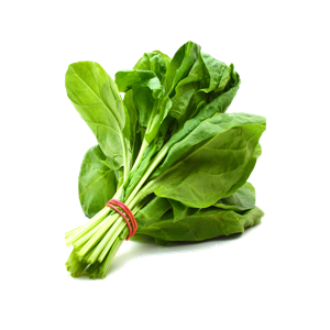 Spinach PNG-79141